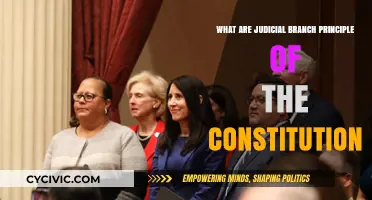 Judicial Branch Principles: Constitution's Foundation