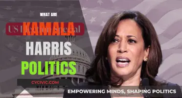 Kamala Harris' Political Stance: Progressive Policies and Leadership Vision