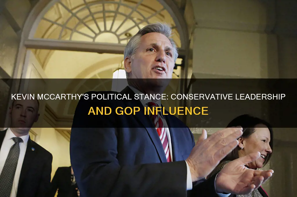 what are kevin mccarthys politics