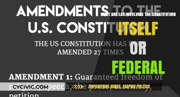 The Constitution and Federal Law: LAS Explained