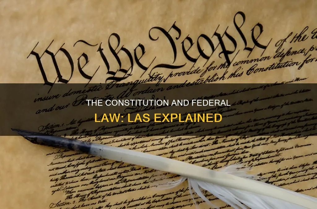 what are las involving the constitution itself or federal