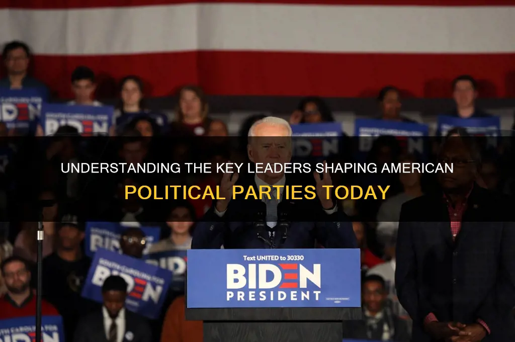what are leaders of american political parties