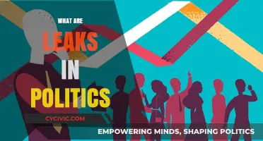 Unveiling Political Leaks: Secrets, Scandals, and Their Impact on Governance
