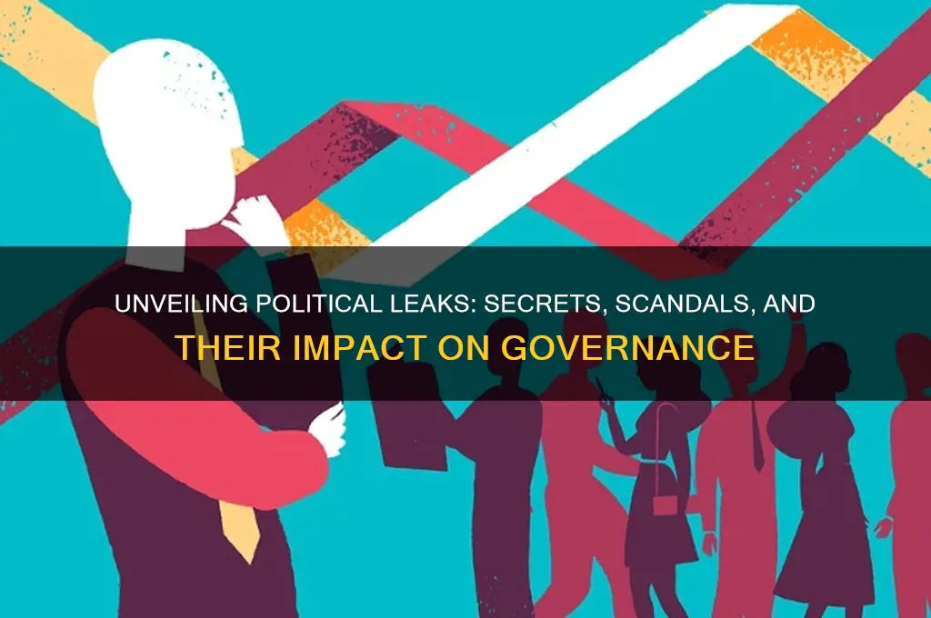 what are leaks in politics