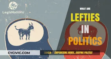 Understanding Left-Wing Politics: Ideologies, Goals, and Global Influence