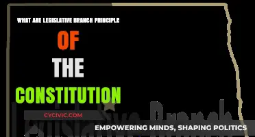 Legislative Branch Principles: Constitution's Foundation