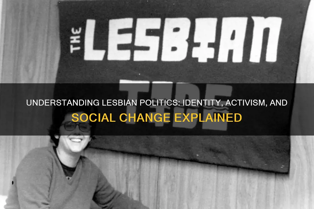 what are lesbian politics