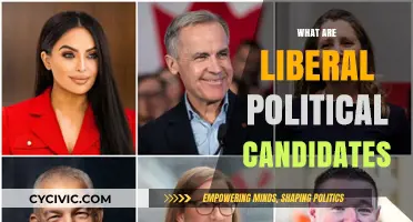 Understanding Liberal Political Candidates: Core Values, Policies, and Impact