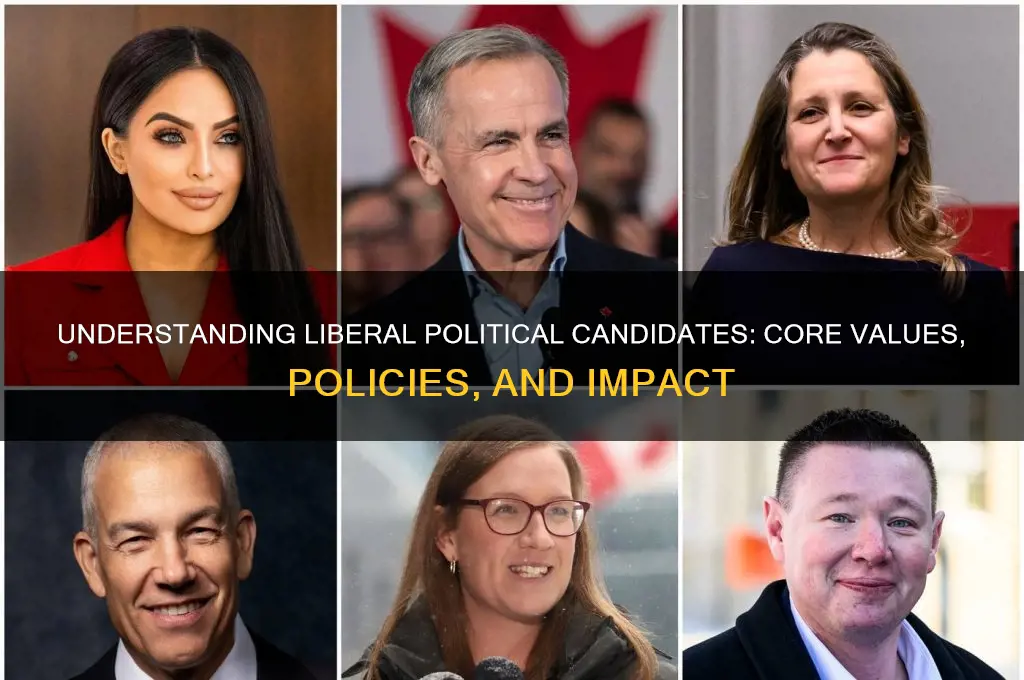 what are liberal political candidates