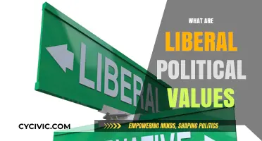 Understanding Liberal Political Values: Core Principles and Their Impact