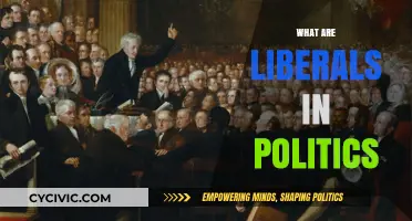Understanding Liberalism: Core Principles and Political Impact Explained