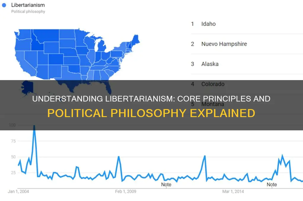 what are libertarians in politics