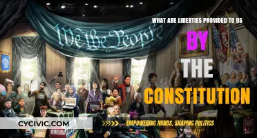 The Constitution: Our Liberties and Freedoms
