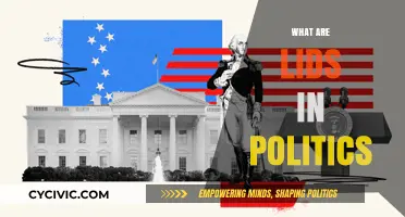 Understanding Political Lids: Their Role, Impact, and Influence in Governance