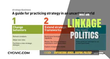 Understanding Linkage Politics: Strategies, Impacts, and Global Implications