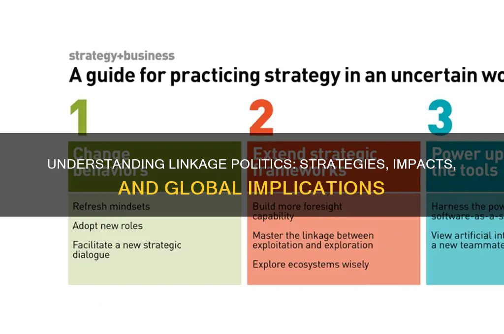 what are linkage politics