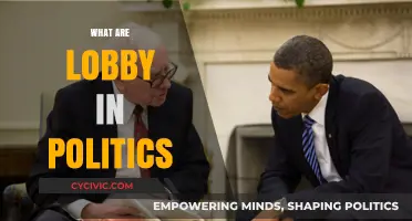 Understanding Political Lobbies: Influence, Power, and Policy Shaping Explained