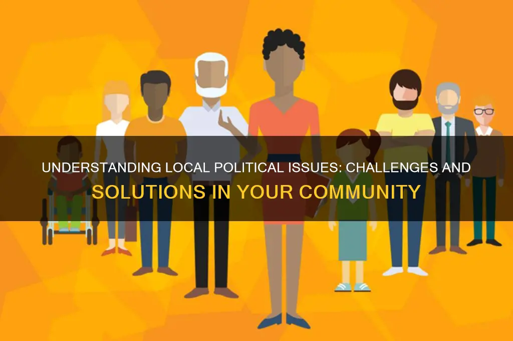 what are local political issues