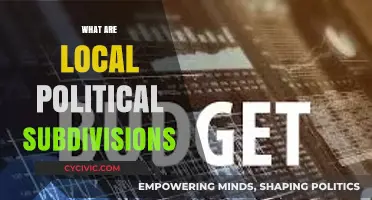 Understanding Local Political Subdivisions: Structure, Roles, and Impact