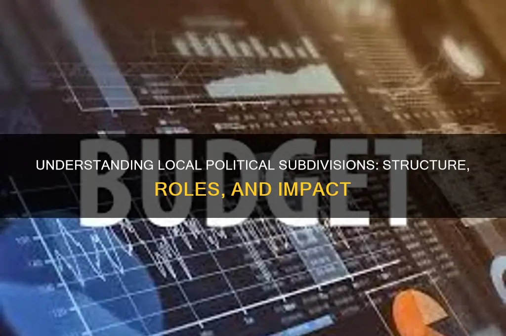 what are local political subdivisions