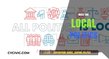 Understanding Local Politics: Power, Communities, and Grassroots Governance Explained