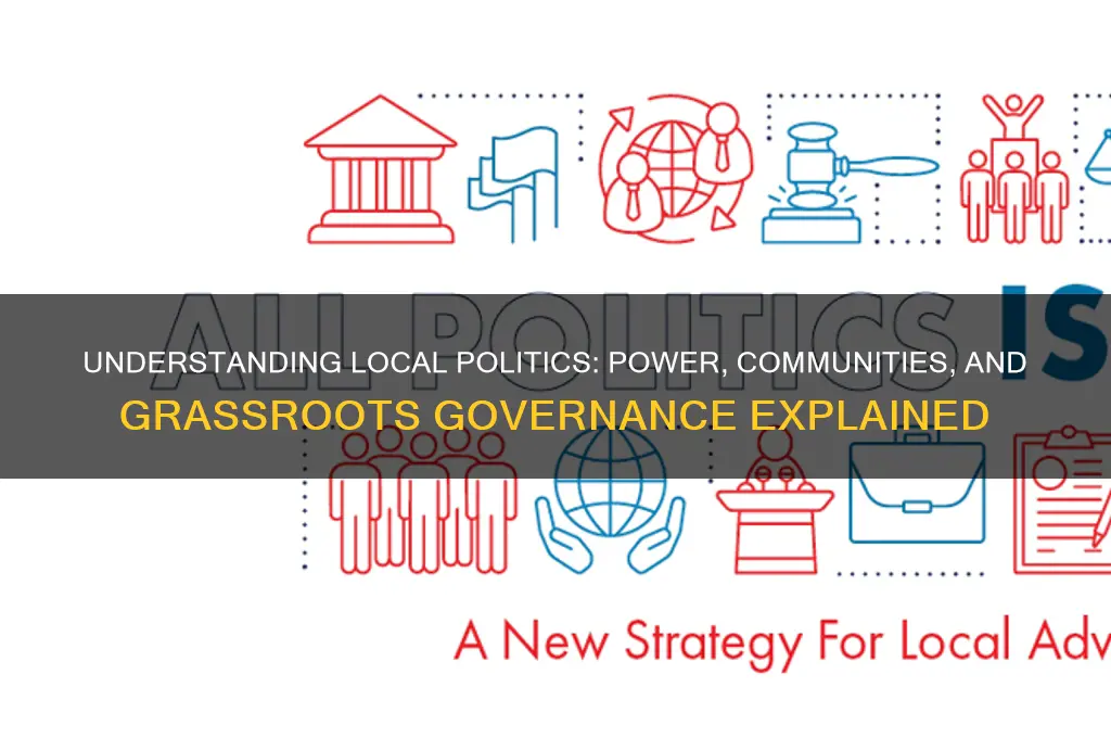 what are local politics