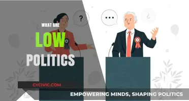 Understanding Low Politics: Everyday Issues Shaping Local Governance and Society