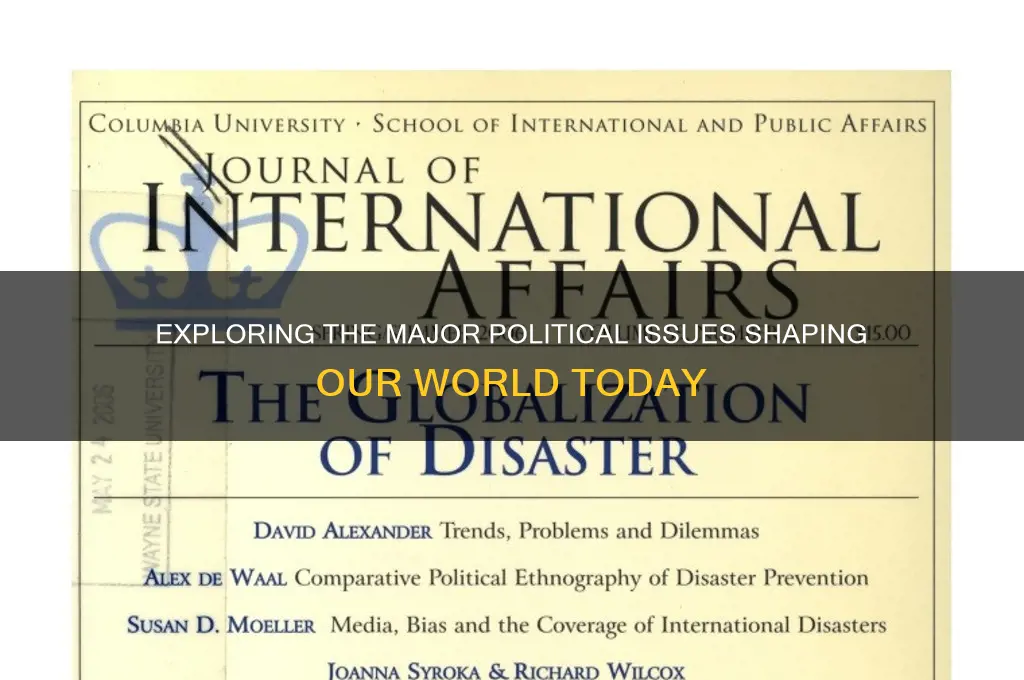 what are major political issues