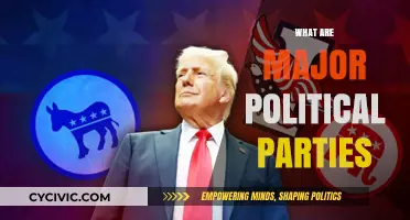 Understanding the Role and Influence of Major Political Parties