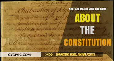 Mason's Constitution: Main Concerns and Misgivings