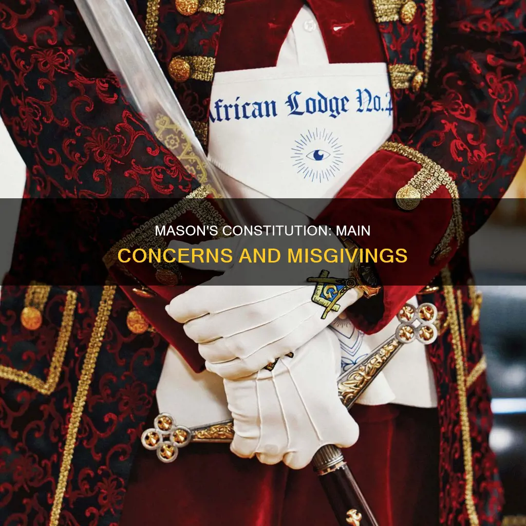 what are mason main concerns about the constitution