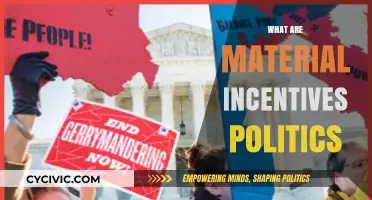 Understanding Material Incentives in Politics: Power, Resources, and Influence