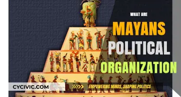 Understanding the Complex Political Structure of the Ancient Mayan Civilization