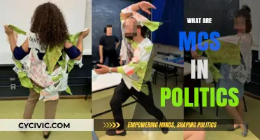 Understanding Political MCS: Roles, Impact, and Influence Explained