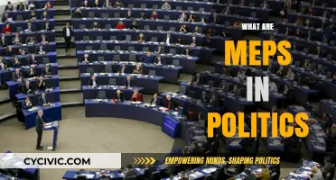 Understanding MEPs: Their Role, Influence, and Impact in European Politics