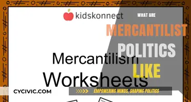 Mercantilist Politics: Power, Protectionism, and Economic Nationalism Explained