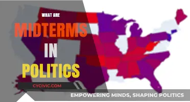 Understanding Midterms: Key Political Elections and Their Impact Explained