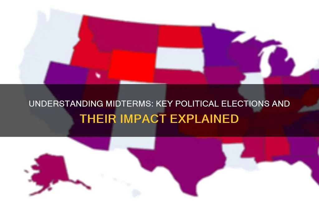 what are midterms in politics