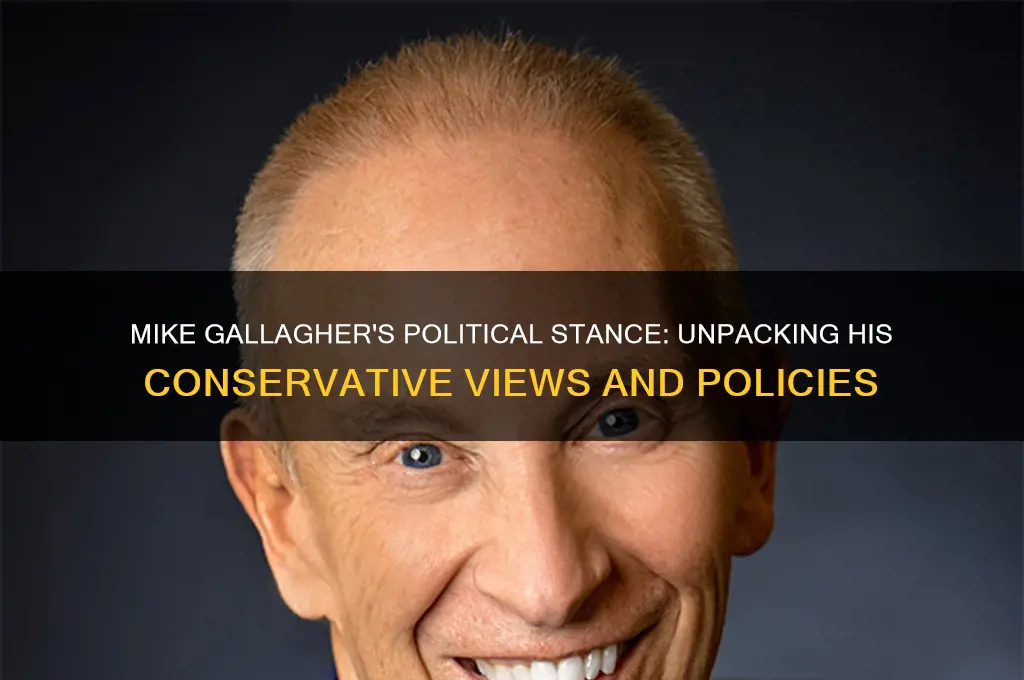 what are mike gallahgers politics