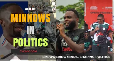 Understanding Political Minnows: Their Role and Impact in Modern Politics