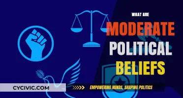 Understanding Moderate Politics: Balancing Pragmatism and Compromise in Governance