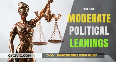Understanding Moderate Political Leanings: Balancing Pragmatism and Compromise