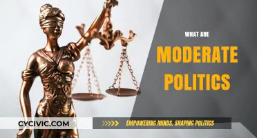 Understanding Moderate Politics: Balancing Ideologies for Pragmatic Governance