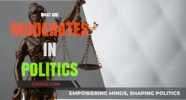 Understanding Moderates: The Balancing Force in Political Landscapes