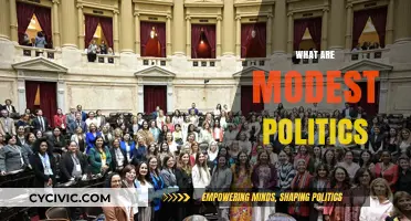 Understanding Modest Politics: A Balanced Approach to Governance and Society