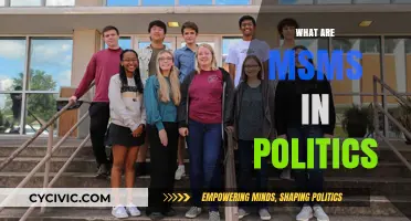 Understanding MSMS: Their Role and Impact in Modern Politics