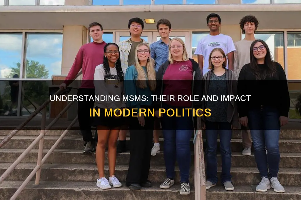 what are msms in politics