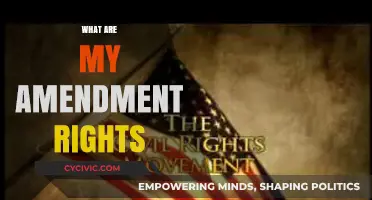 Amendments: Your Rights and Their Protections