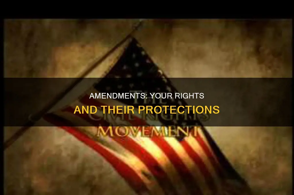 what are my amendment rights