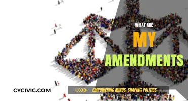 Amendments: Understanding Your Rights and Their Impact